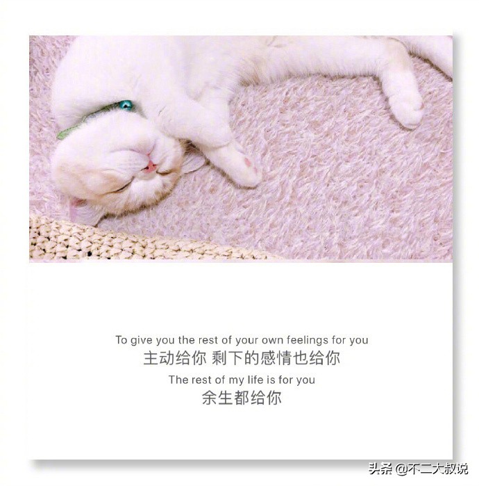 英汉互译的深情句子,中英文唯美爱情句子