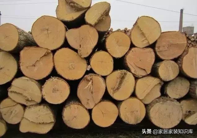 家具行业木材的介绍,我国民间家具常用木材