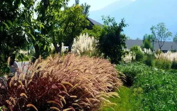 西昌邛海湿地公园旅游线路,西昌邛海湿地属于哪个省