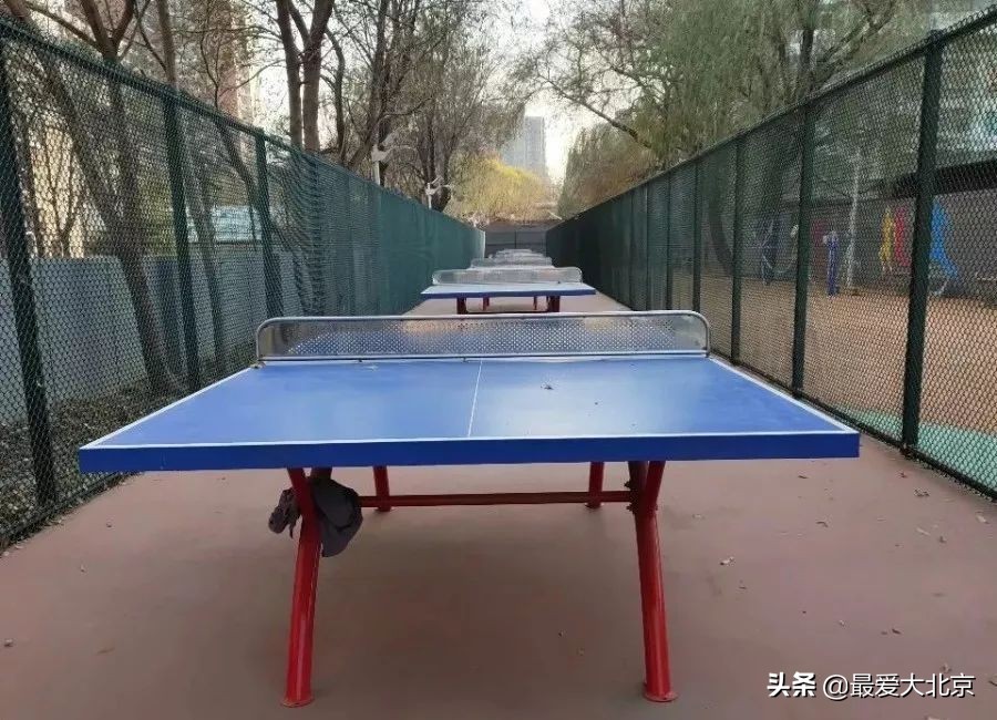 羡慕啊！住在双清路就是不一样