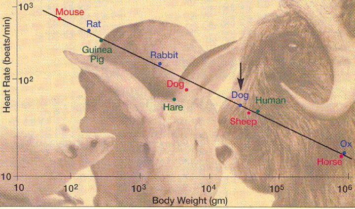 科学家找到6个神奇的数字,科学家找到6个神奇数字