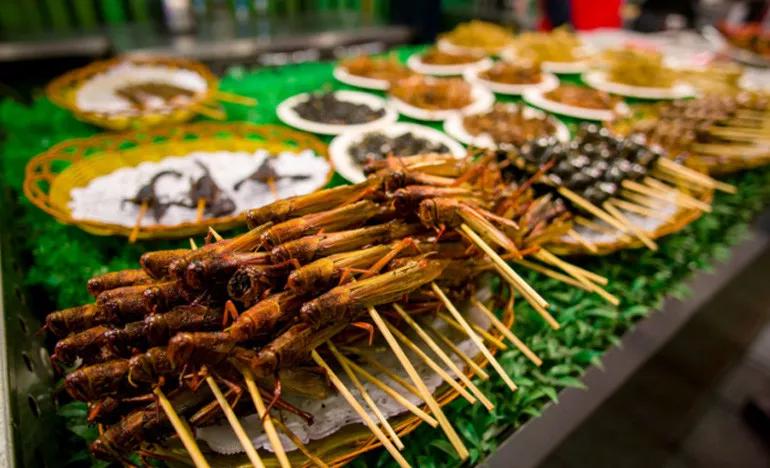 来西双版纳必去的10个地方,来西双版纳必玩的地方