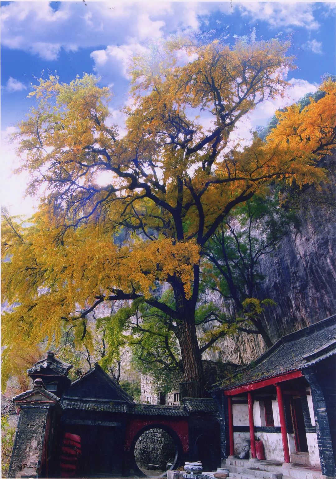 博山区年审,博山年审