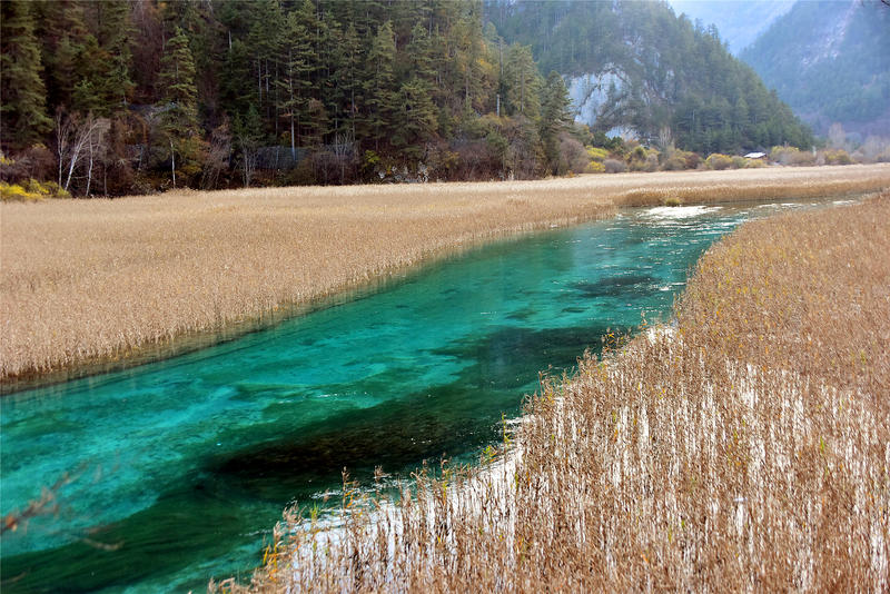 置身于童话中的九寨沟,畅游人间仙境黄龙九寨沟七日游