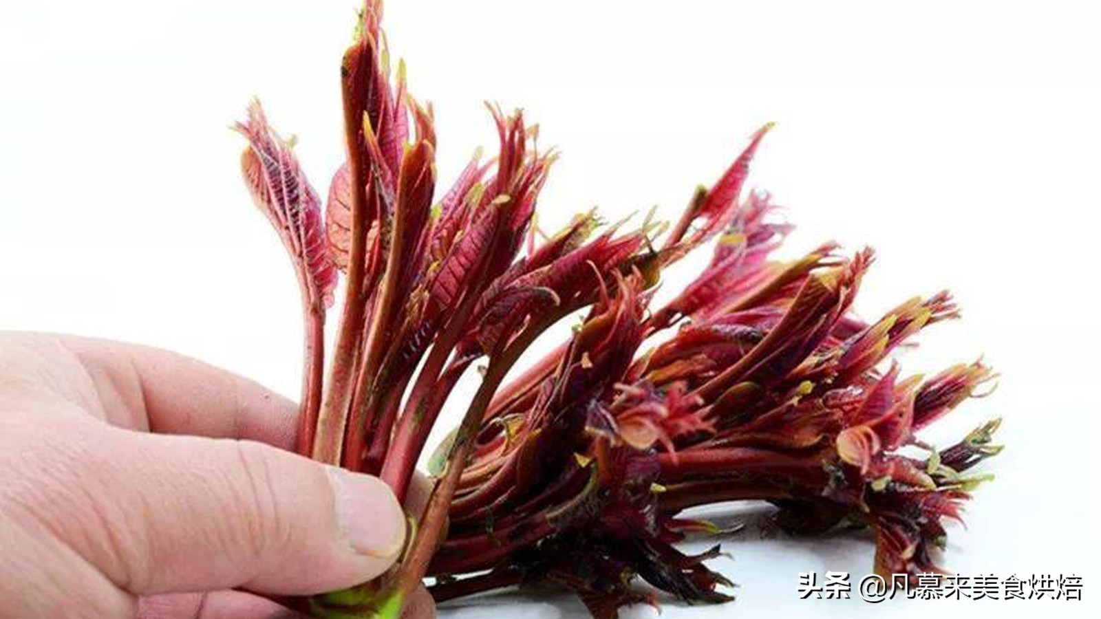 唐山什么特产适合送人,客人来唐山带点啥特产