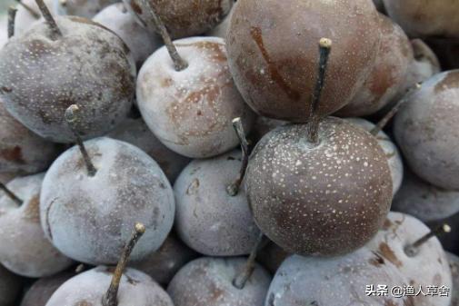 大连特色农产品有哪些,辽宁省农产品地理标志产品都有啥