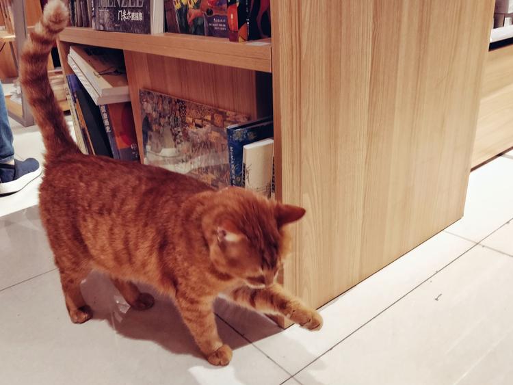 上新了百新书局！70多个采购员买遍全世界的好文具，这家百年老店是我们的“*东伊**屋”