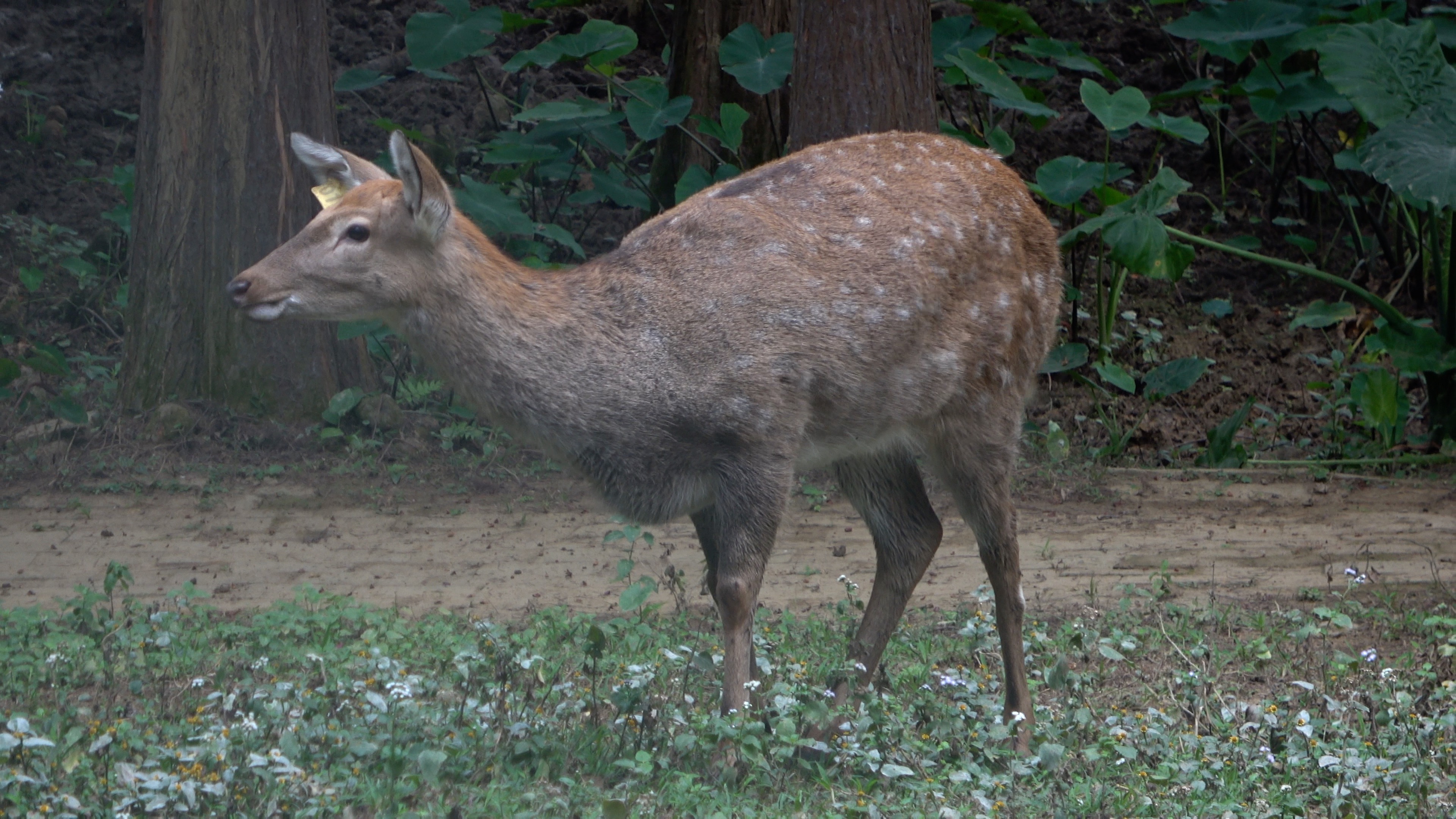 清远森波拉避暑胜地,森波拉奇妙世界温泉门票价格