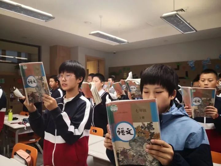 师情话意66,师情话意全文免费阅读