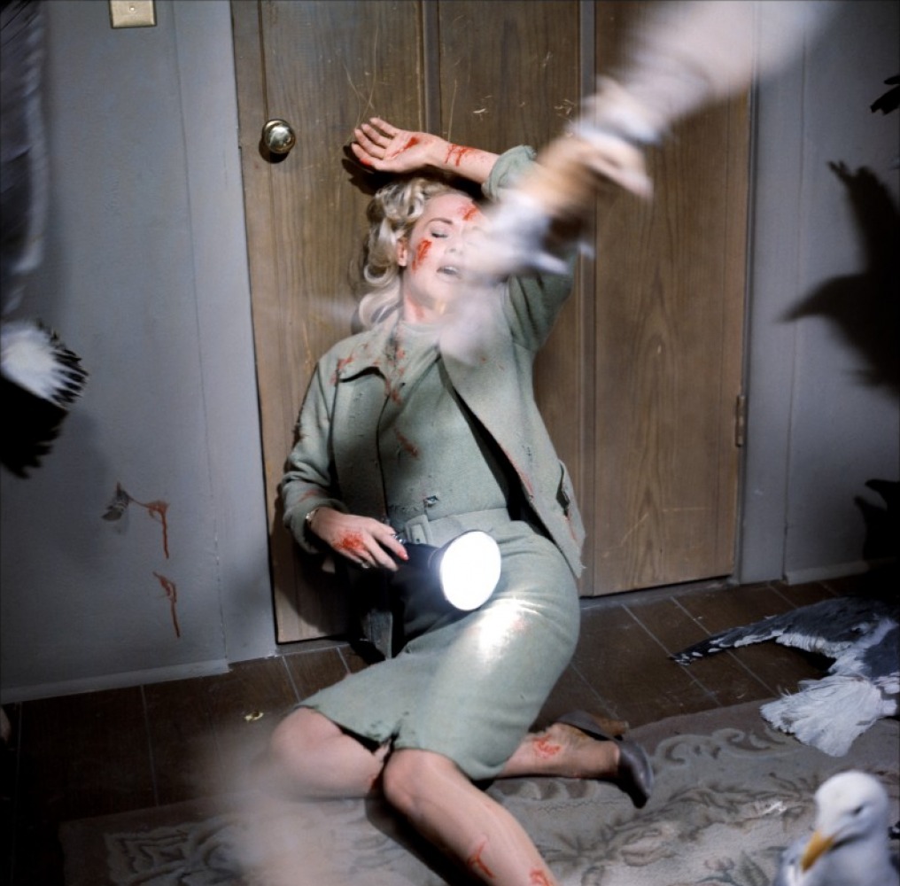 经典的动物灾难电影,推荐几部有关动物灾难方面的电影