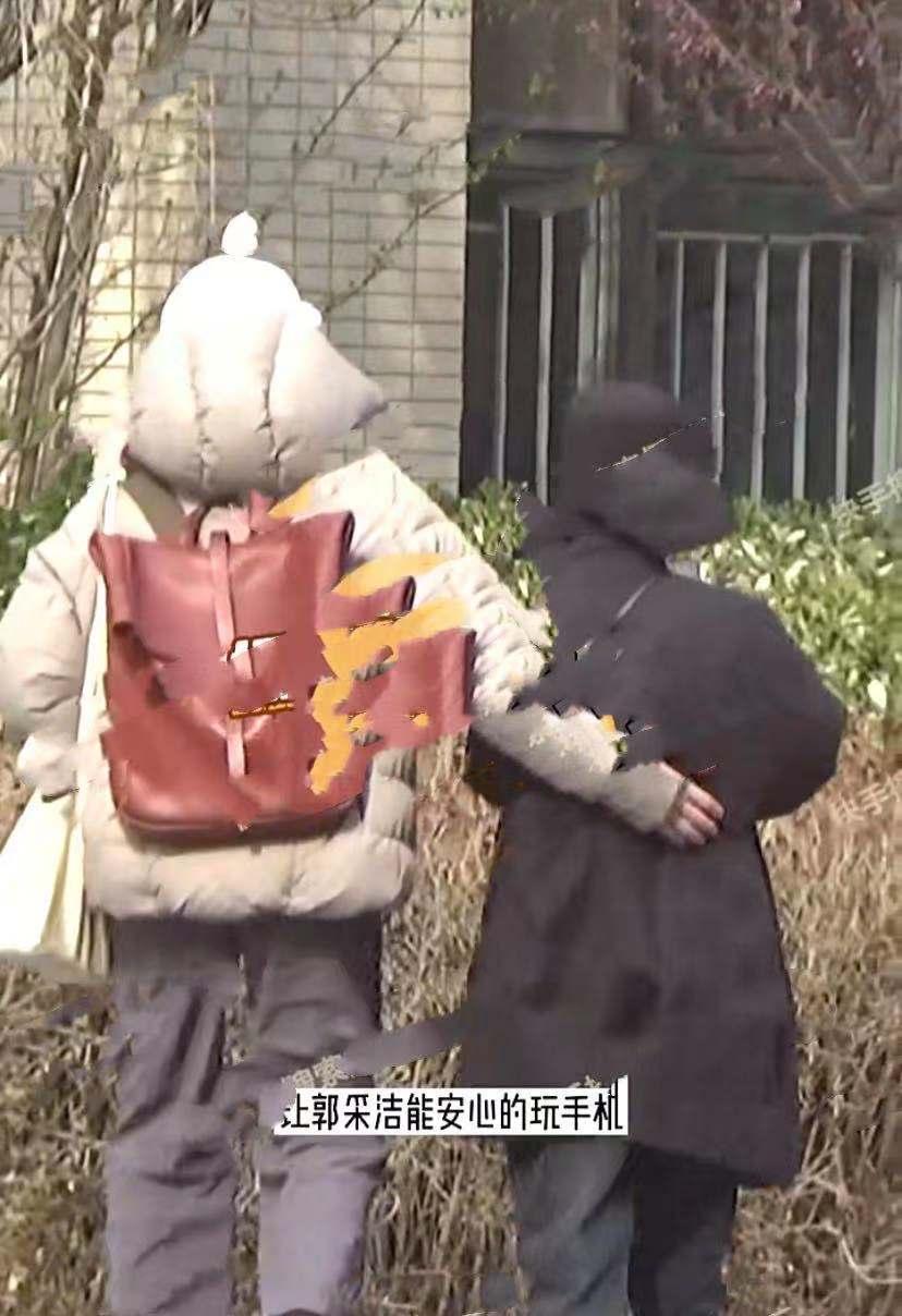 郭采洁的理想型,12年来郭采洁的变化