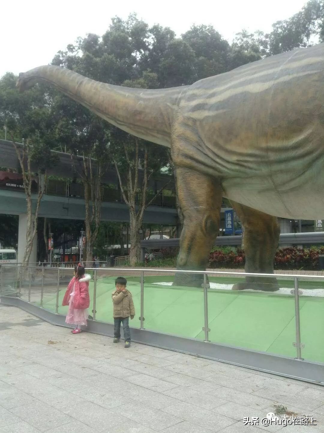 香港亲子游图文攻略图片大全,香港亲子游最佳路线图