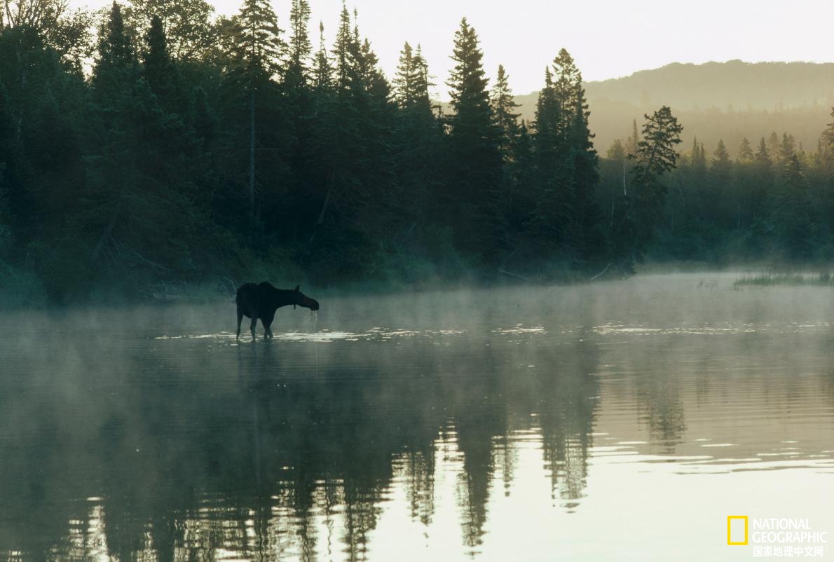 2021年25个全球最佳旅行目的地,2020不可错过的风景
