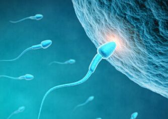 正常精子是什么特征,正常精子啥样呢