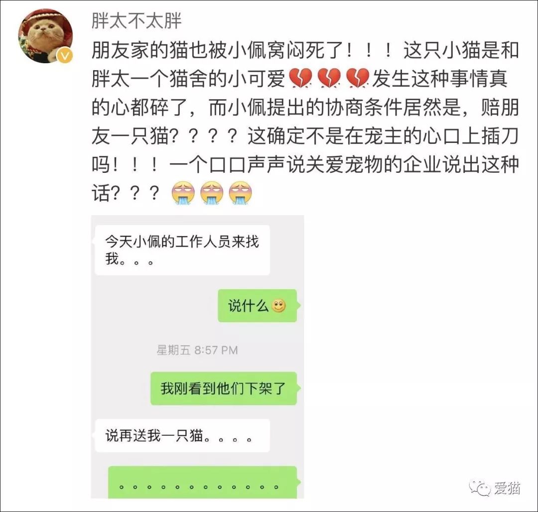 小佩闷死猫后续,小佩猫窝现在还有吗