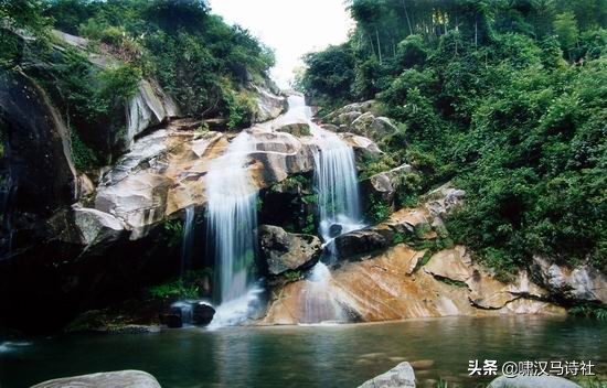 谁怜篱菊花将尽，犹记前朝香满庭——啸汉马诗社雅集第二十二辑