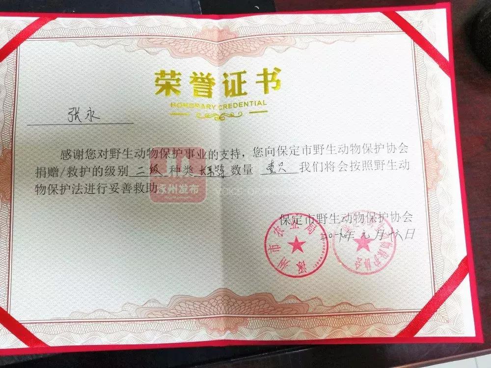 今天!涿州人都在传这段3分钟的“大鸟”视频,朋友圈都炸锅了……