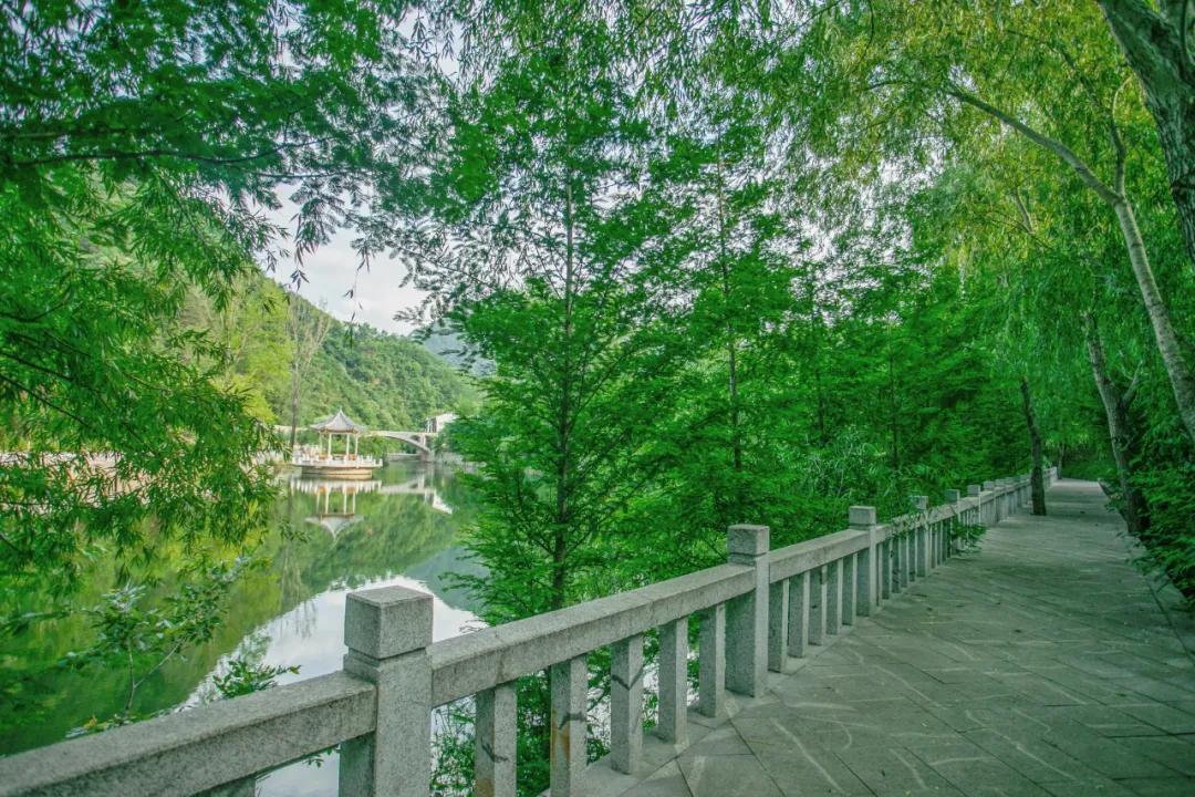 栾川湖景民宿,栾川森林氧吧民宿