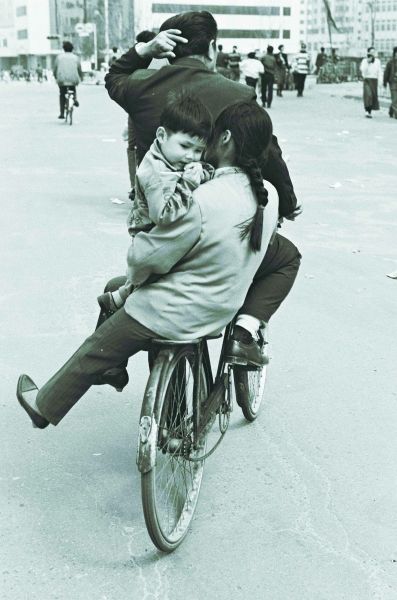 凤凰飞鸽永久自行车为啥那么便宜,怎么区别凤凰飞鸽永久自行车