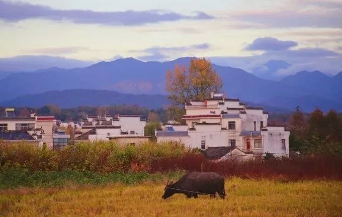 安徽值得去的四大古村,安徽春天最美十大村落