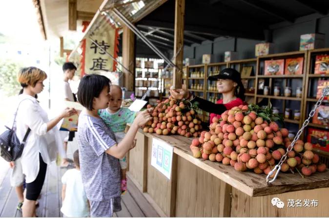 贵州黔西美丽乡村入画来,美丽的乡村茂名
