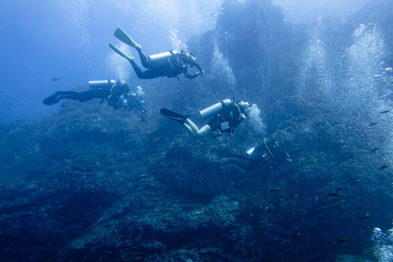 三亚学潜水机构推荐,三亚学潜水哪个最专业