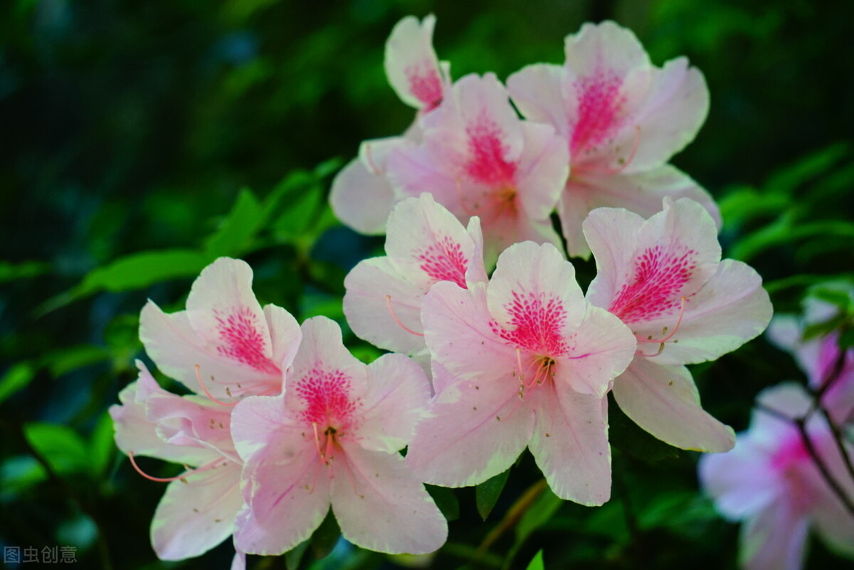 如何跟处女座妈妈搞好关系,怎样才能和处女座相处得更好