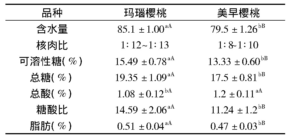 在家盆栽种植樱桃,精品车厘子樱桃苗盆栽