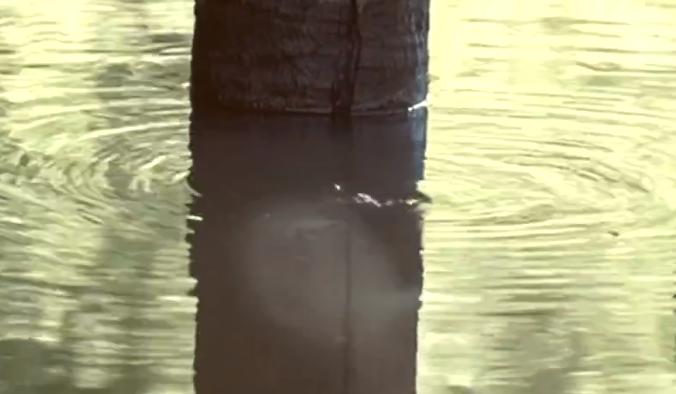 豆瓣7.5《恶魔的艺术2：邪降》：伏笔很深的泰国恐怖片