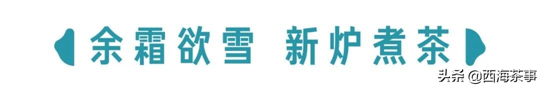 小雪煮茶，没有把手的茶壶却不烫手？急须壶的名字有什么来历？