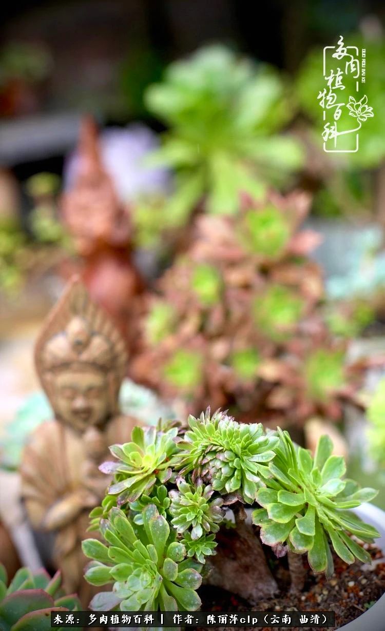 佛系看风景的地方,佛系风景空境视频