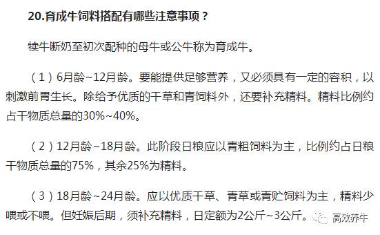 养牛老汉总结的30条养牛经验(1)