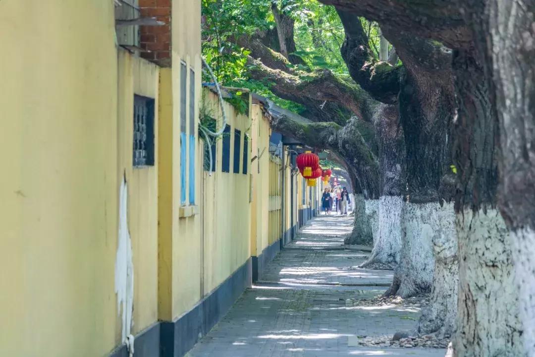 南京学区房新政策2021大片区化,南京学区房价格大跌