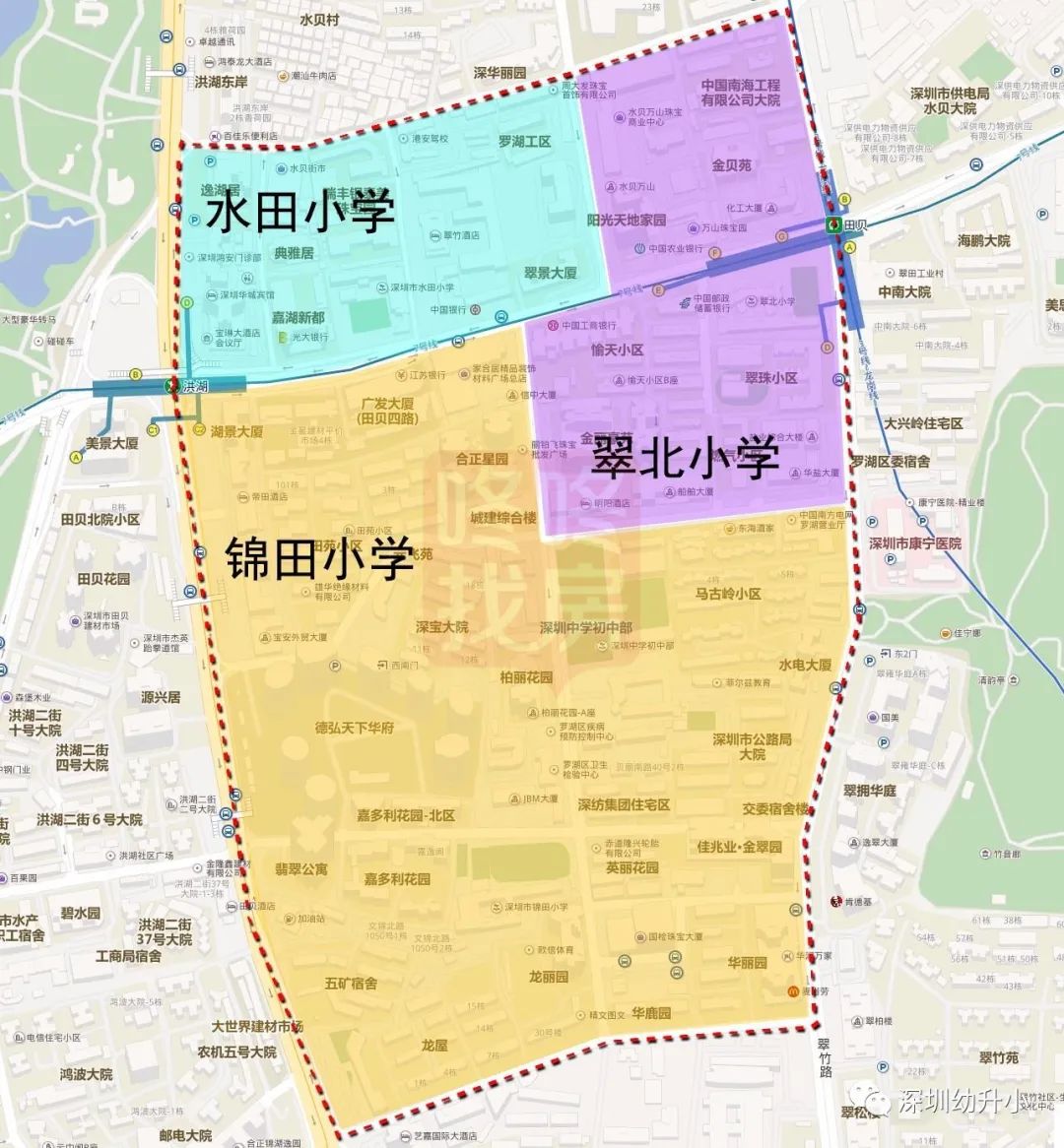 深圳好的双语小学,深圳2023优质小学校排名