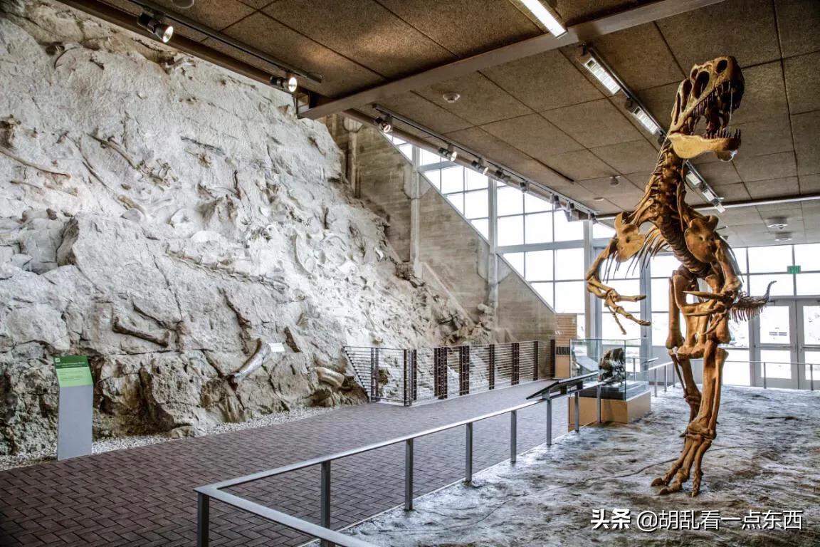 探访恐龙遗迹追寻恐龙,美国一公园发现恐龙世界恐龙足迹