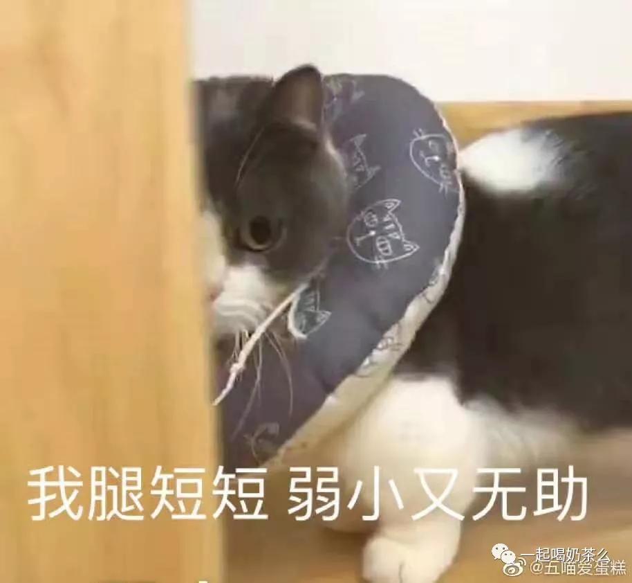 cra面试社招经验,cra面试常见问题及参考答案