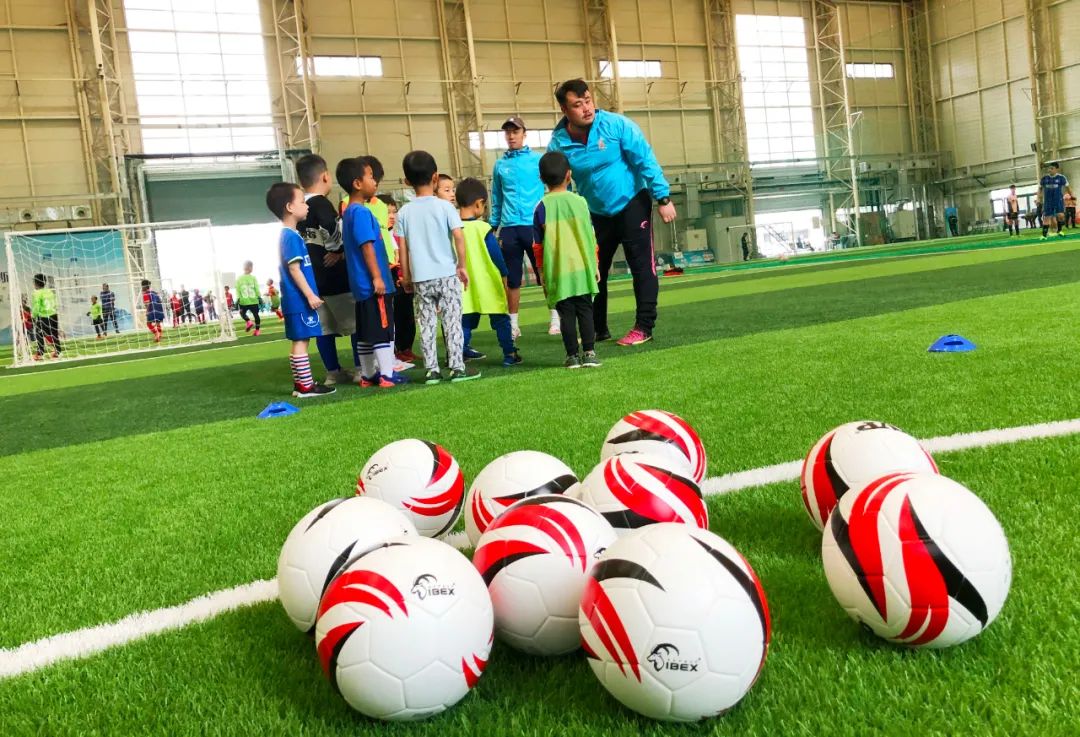 大连龙卷风青训队,大连龙卷风篮球培训学校