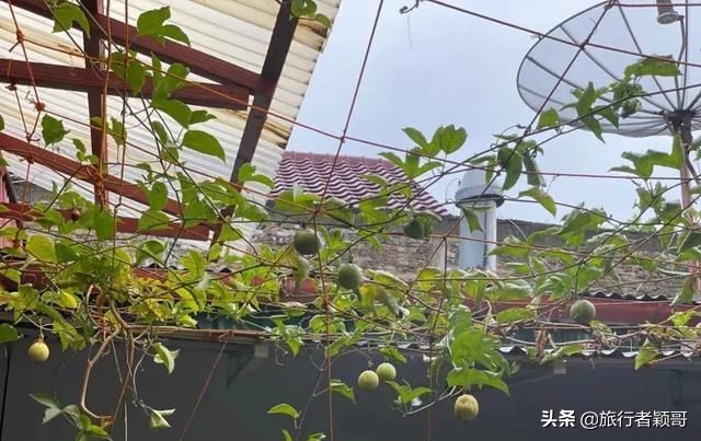 印尼棉兰多巴湖有什么特产,印度尼西亚棉兰多巴湖