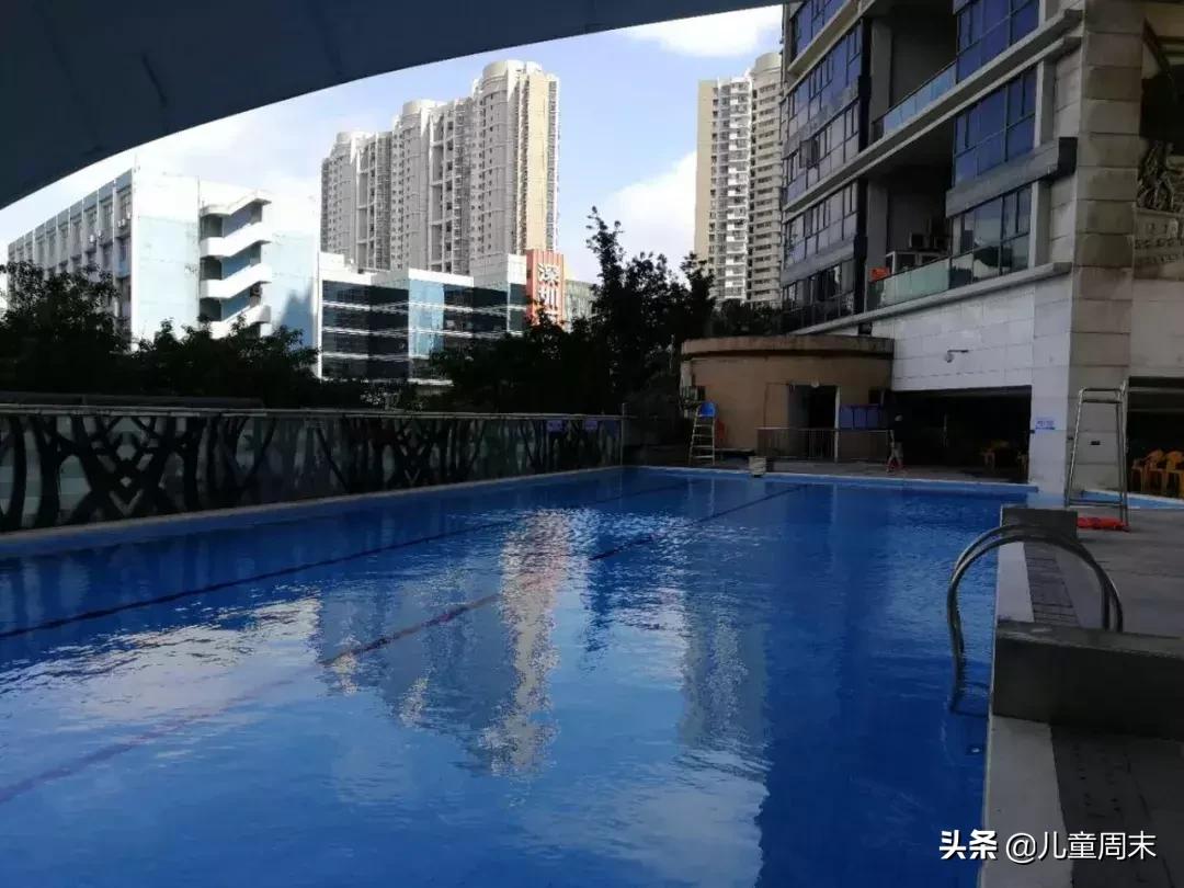 深圳游泳教练培训学校有哪些,深圳成人游泳培训班哪里好