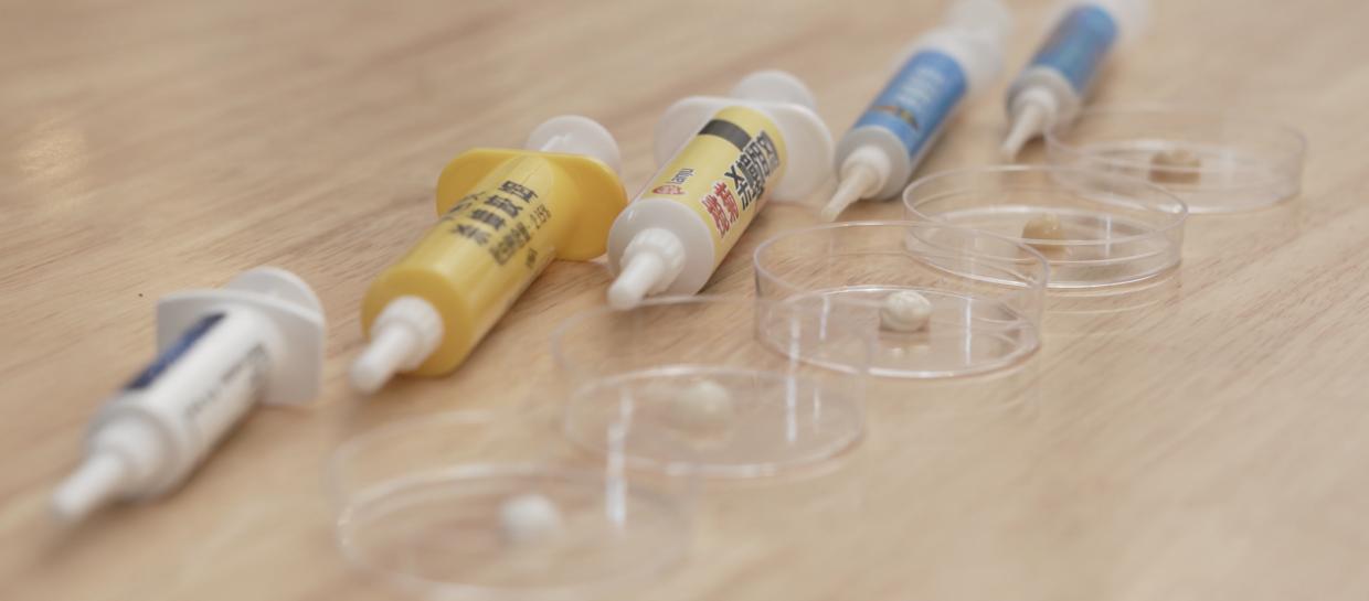 家中有蟑螂怎么一网打尽,家中发现一只蟑螂怎么办