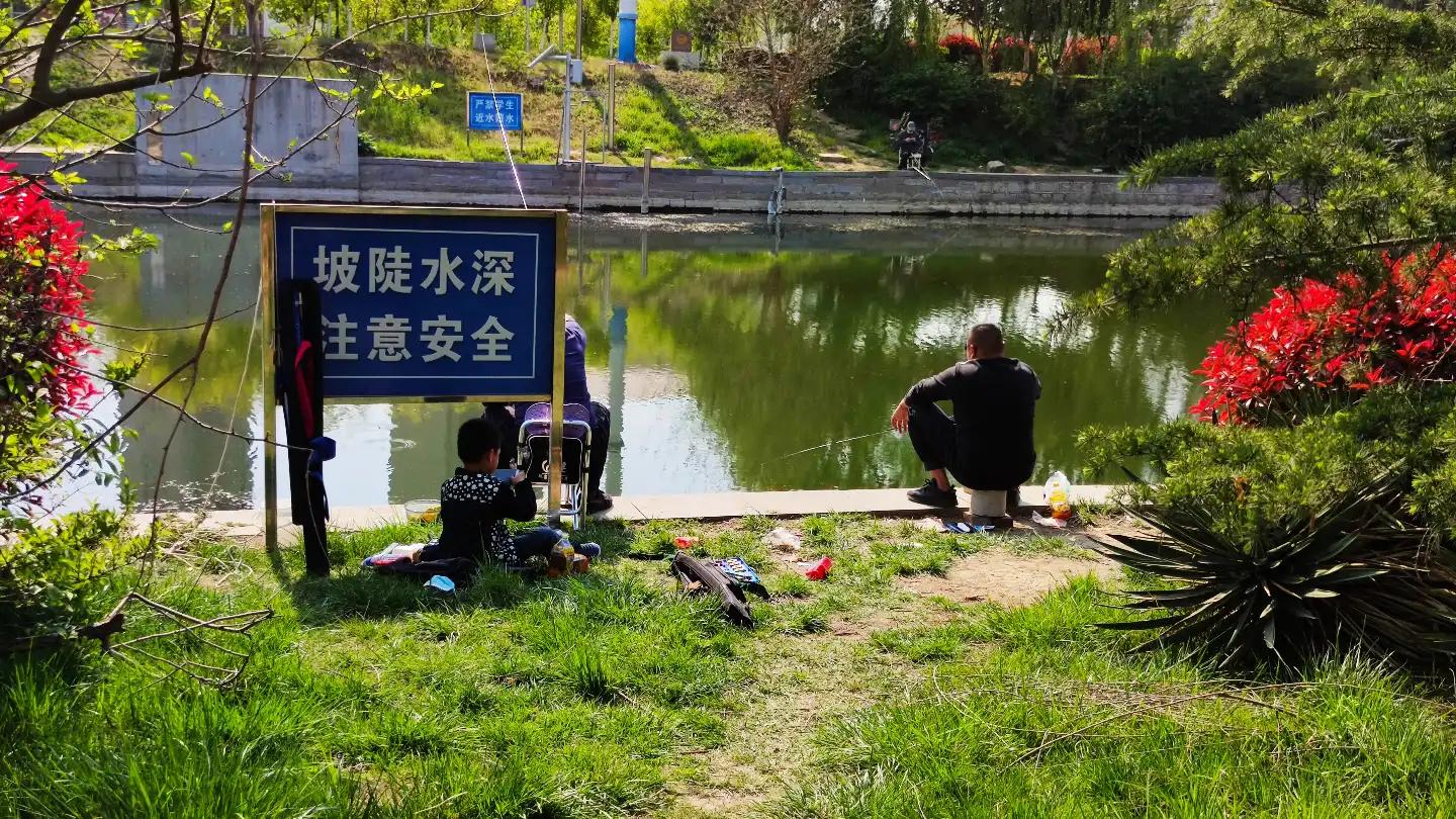 夏天鲫鱼钓着钓着停口怎么回事,黑坑鲫鱼突然停口怎么办