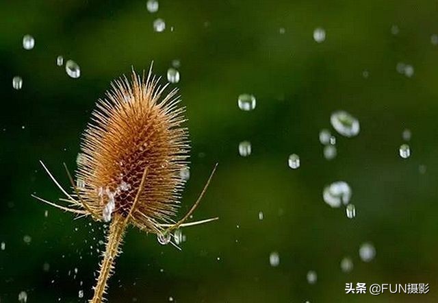 单反拍摄雨景技巧,拍雨景用什么摄影技巧