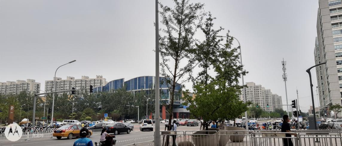 摩托罗拉p50详细参数,摩托罗拉p50测试视频