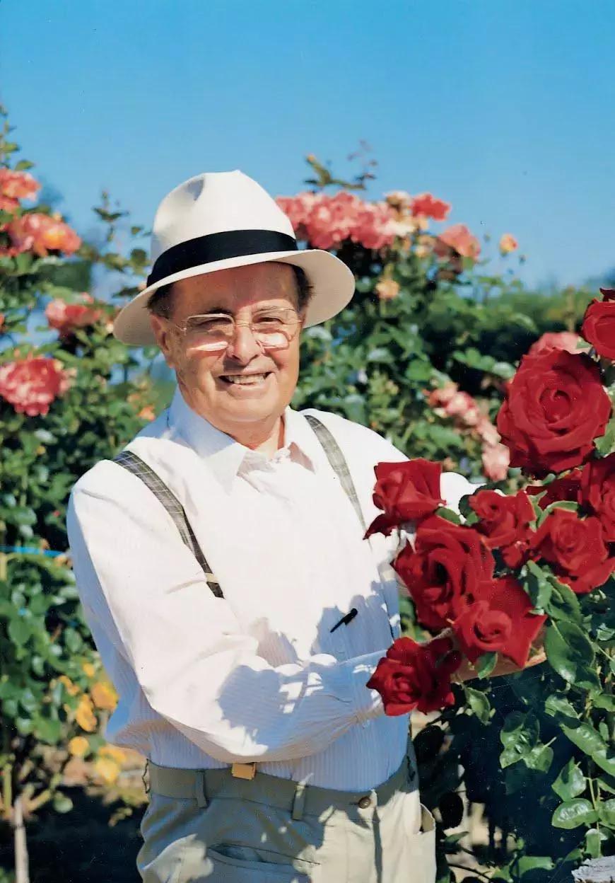 从默默无闻逆袭成功,从默默无闻到全球知名它经历了啥