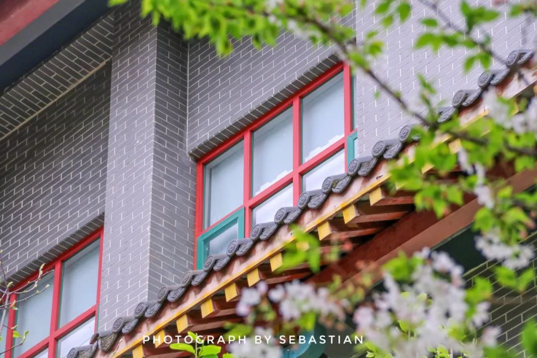 除了华西医院，你对华西坝一无所知！