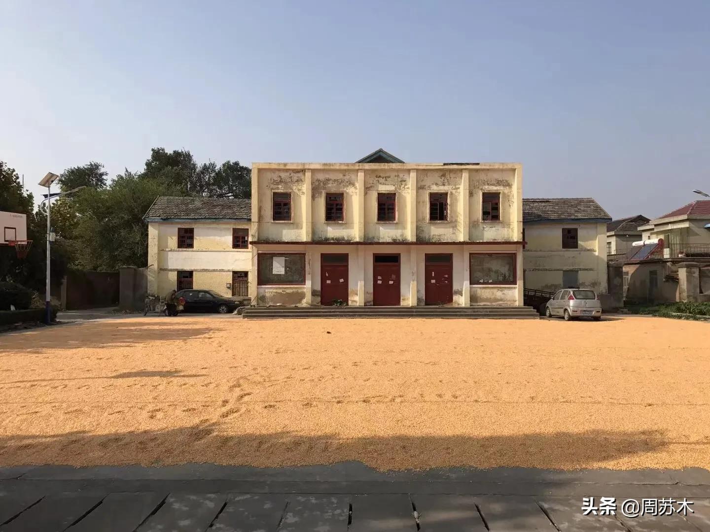 东辛农场2元店,东辛农场大型超市