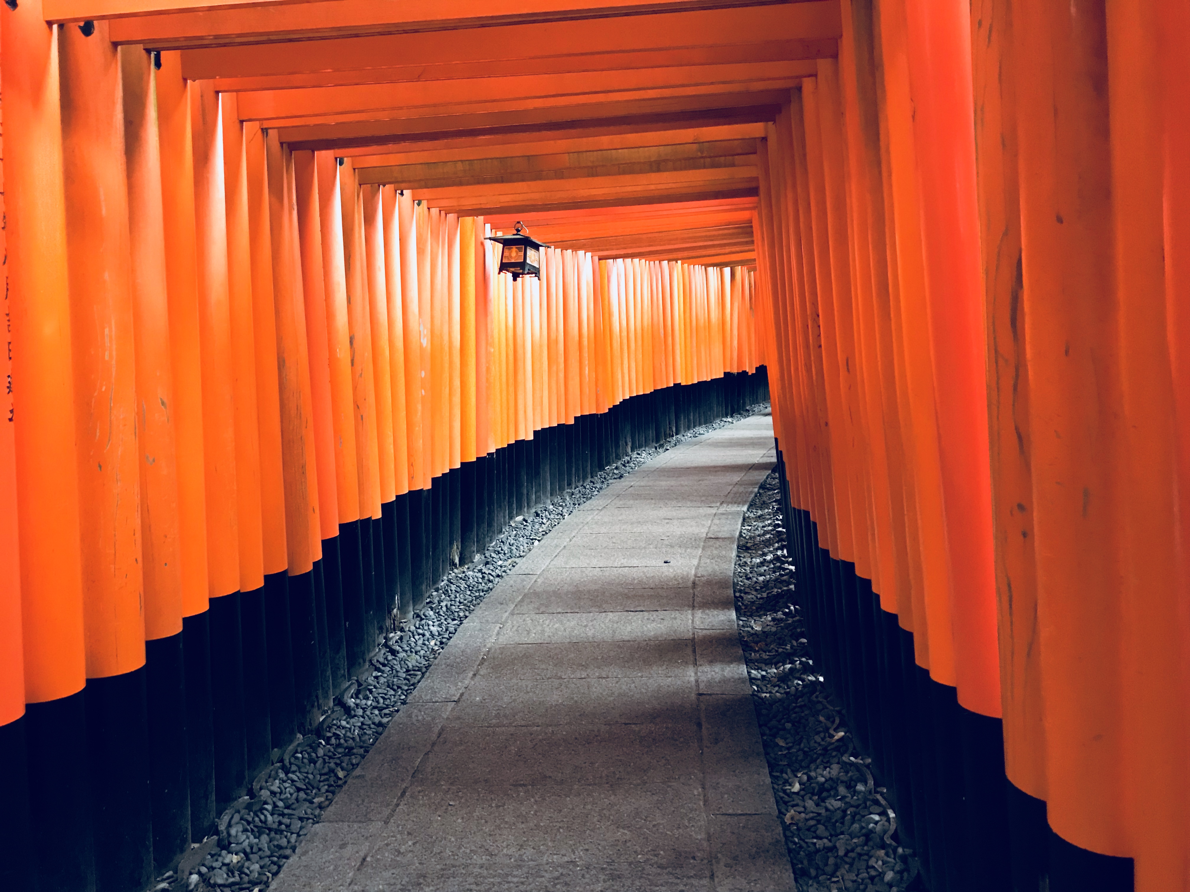 京都伏见稻荷大社宿游,京都必打卡伏见稻荷大社千本鸟居