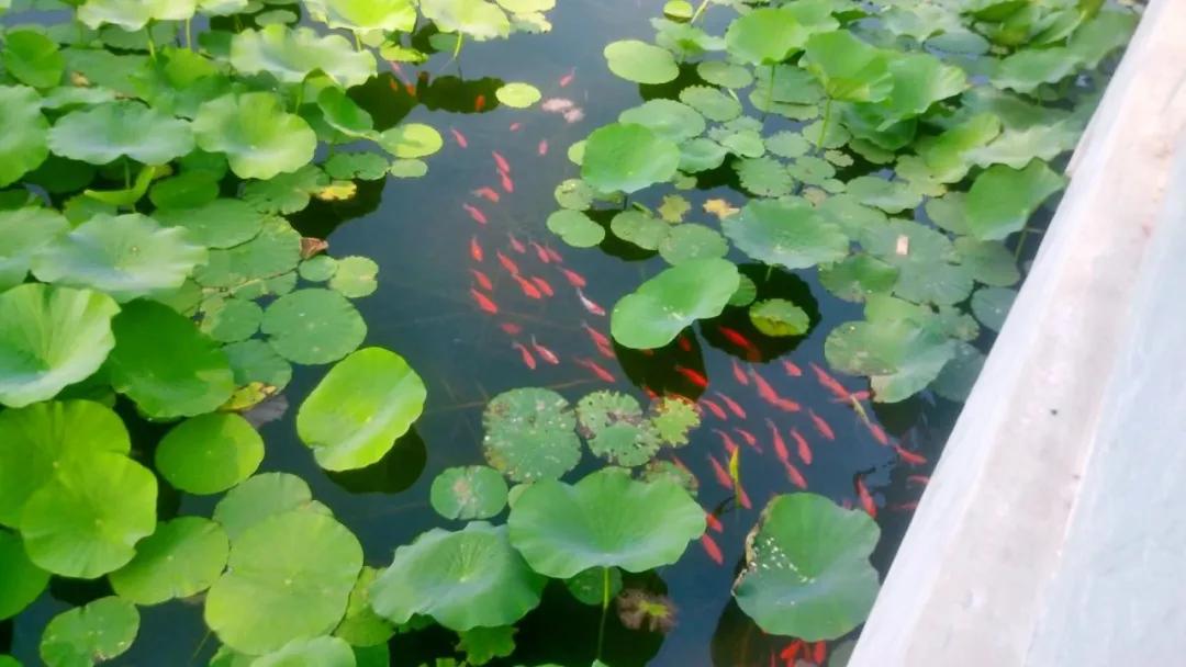 四十而已未来可期,三十而已未来可期余生越来越好