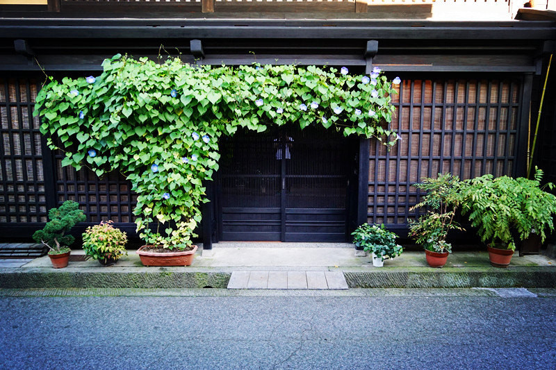 五天三晚之邂逅名古屋，新奇的日本之旅