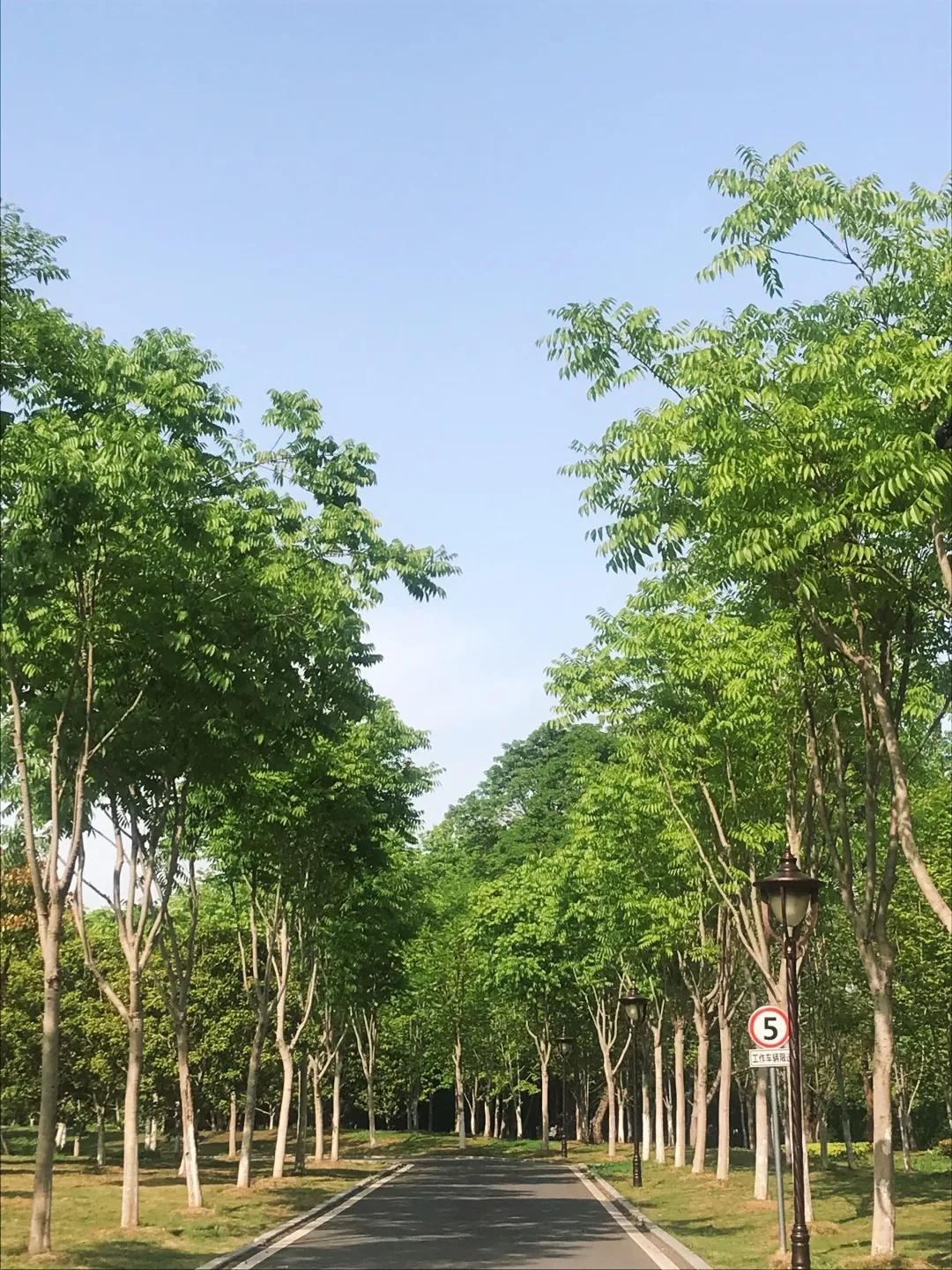 久违了景东,久违了喀什